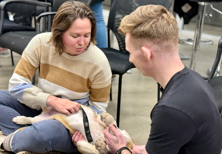 dmc employees with puppies